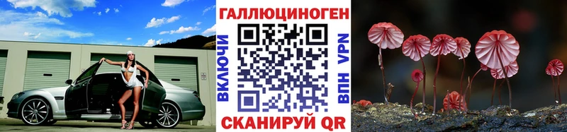 Псилоцибиновые грибы мицелий  кракен как зайти  Покров 